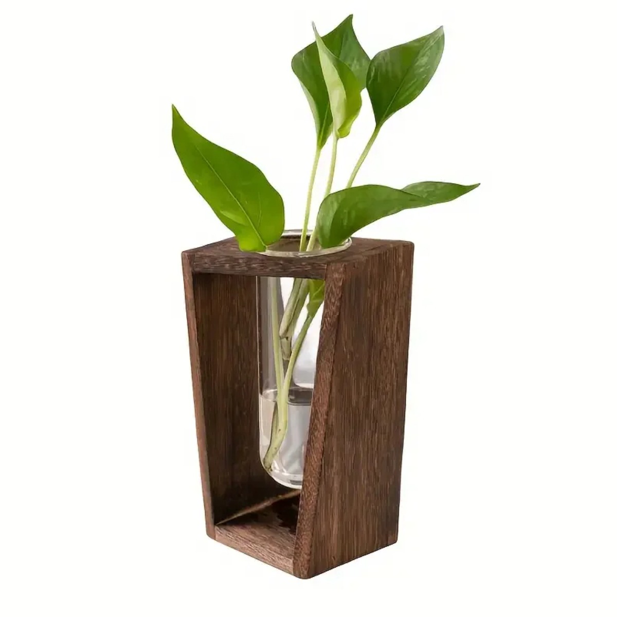Plant Propagation Station Hydr - Propagation Station Vase recension och pris