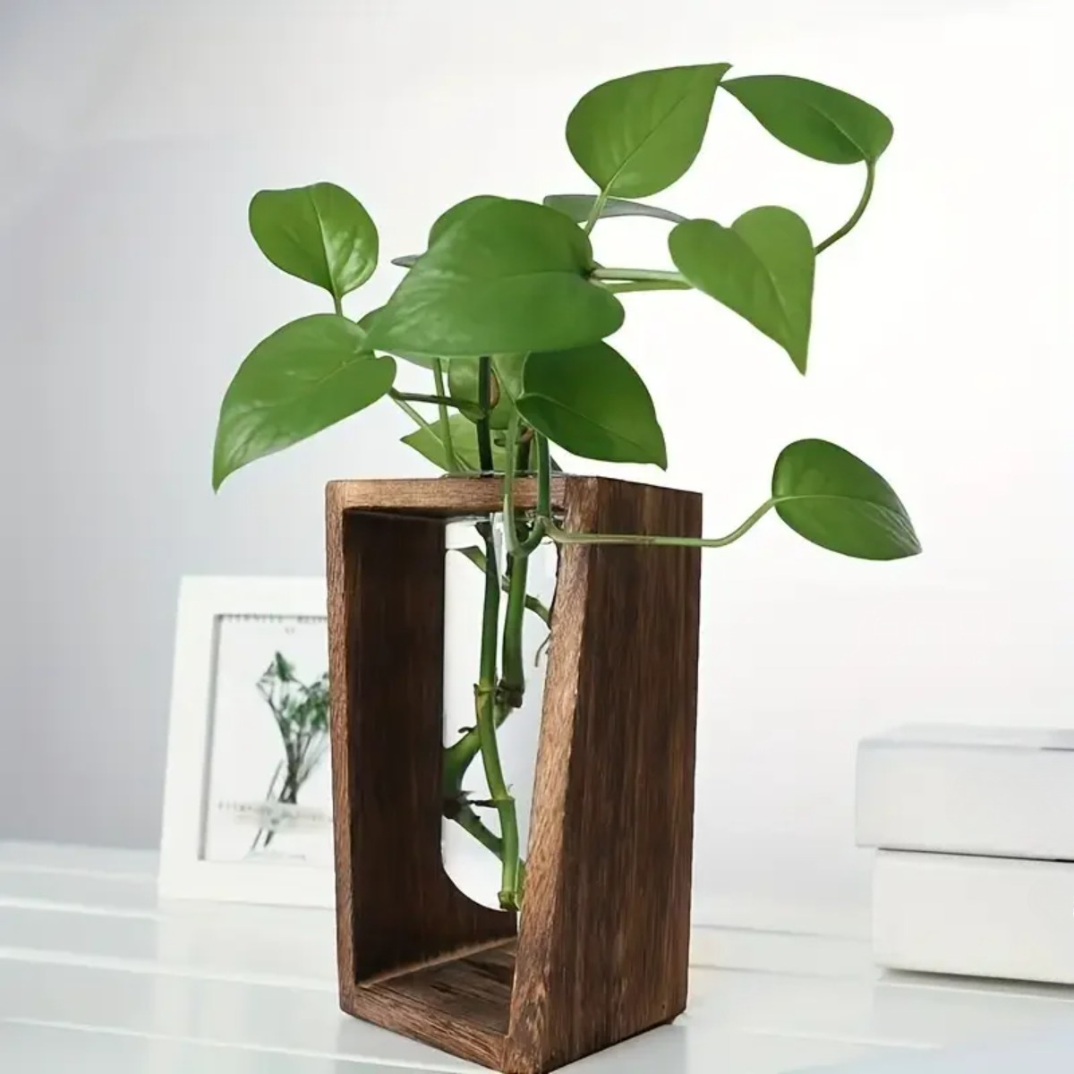 Plant Propagation Station Hydr - Propagation Station Vase recension och pris