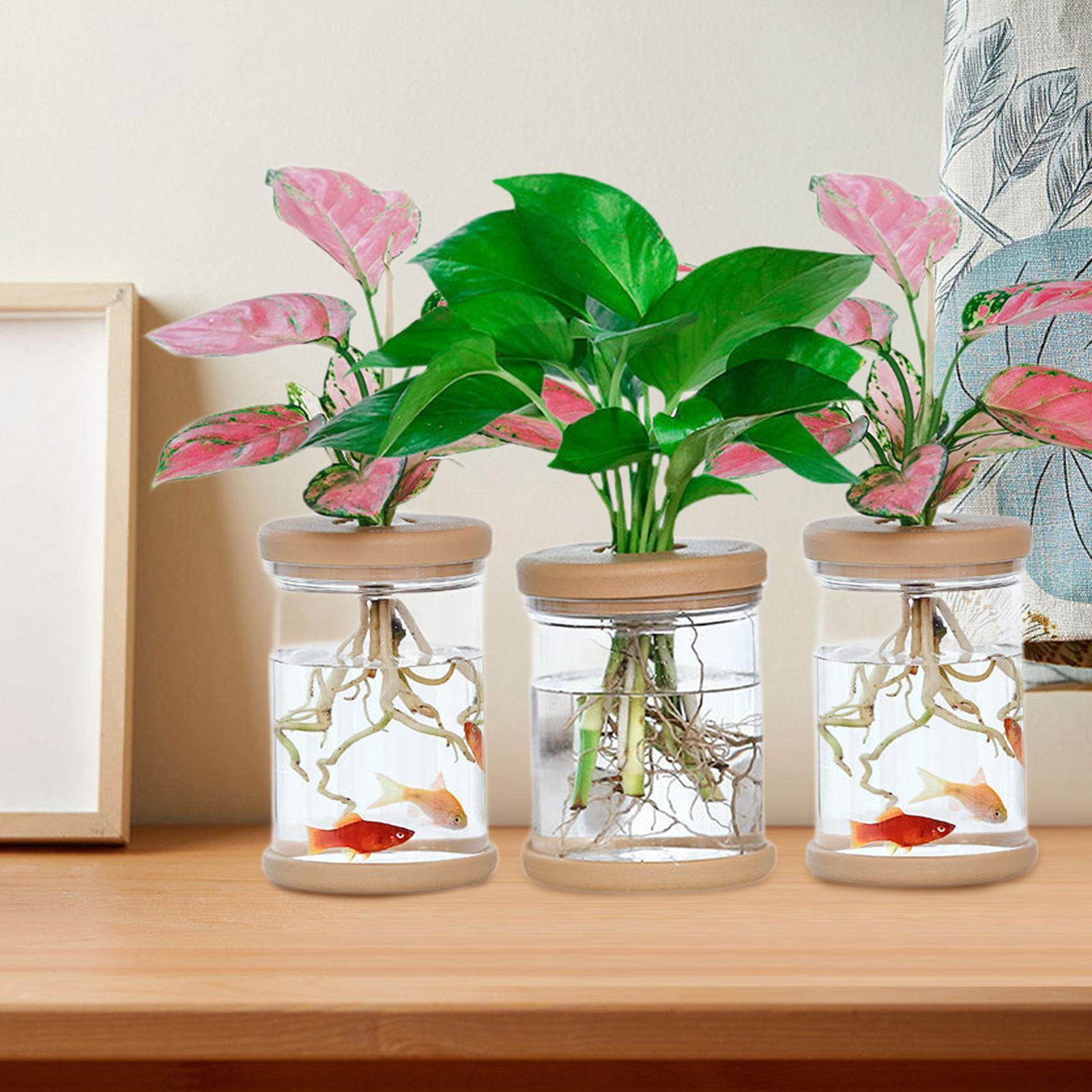 3Pcs Hydroponics Flower Vases  - Propagation Station Vase recension och pris
