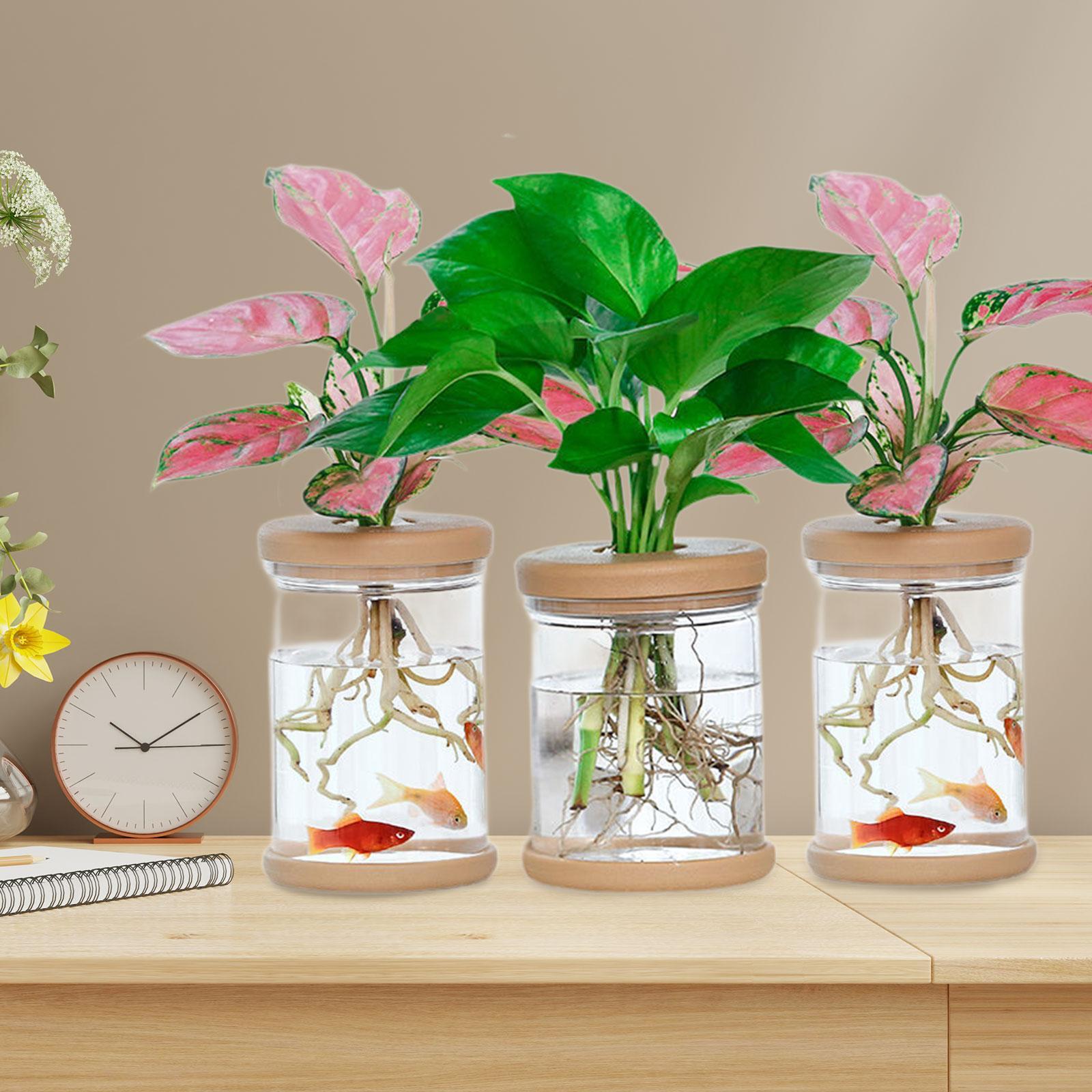 3Pcs Hydroponics Flower Vases  - Propagation Station Vase recension och pris