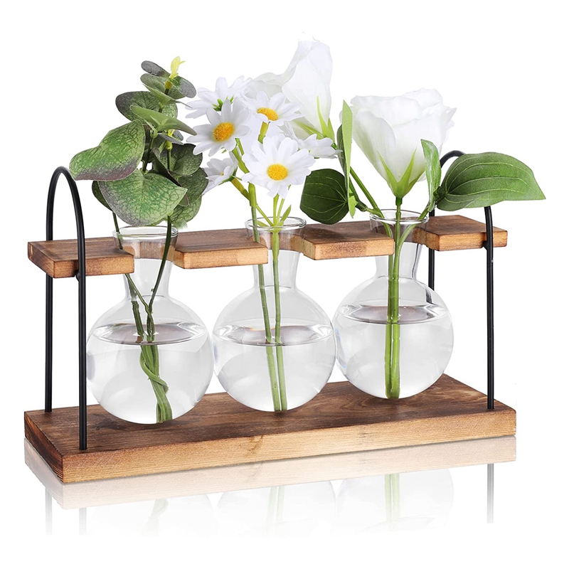 Plant Propagation Station with - Propagation Station Vase recension och pris