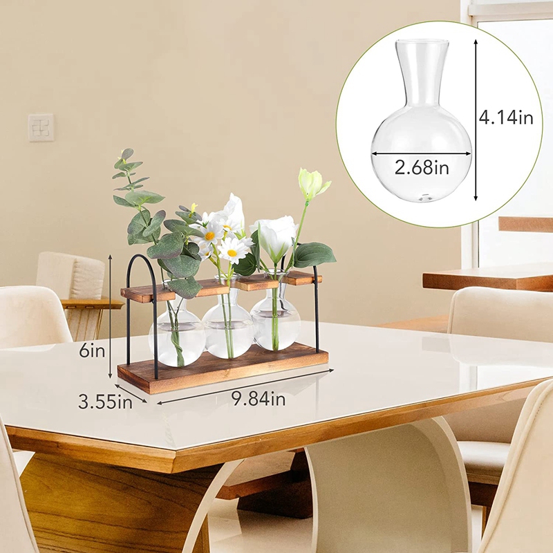 Plant Propagation Station with - Propagation Station Vase recension och pris