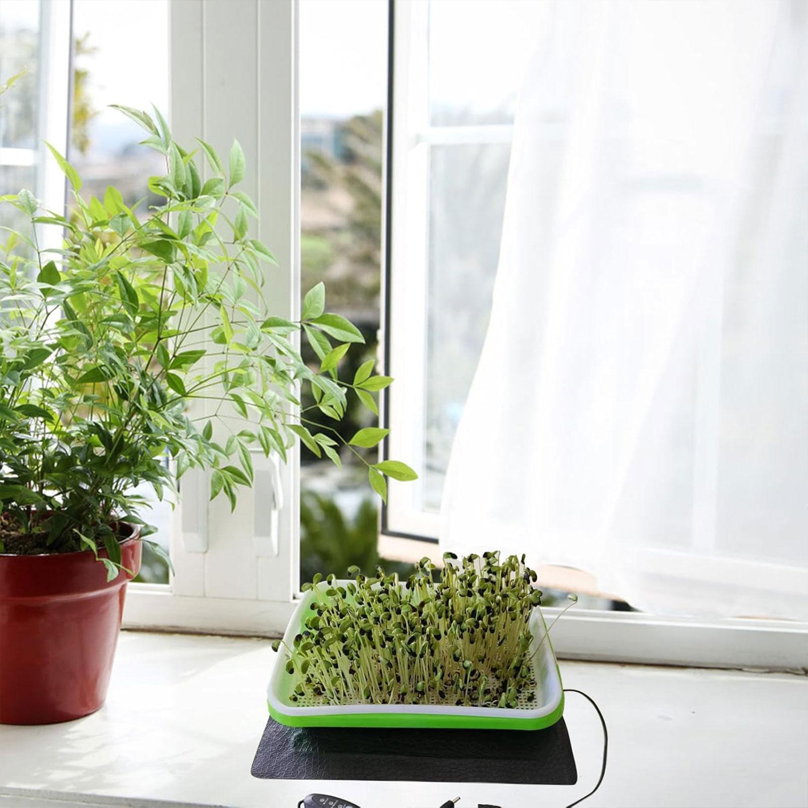 Hydroponic Heat Mat for Seedli - Heat Mat Seedling recension och pris