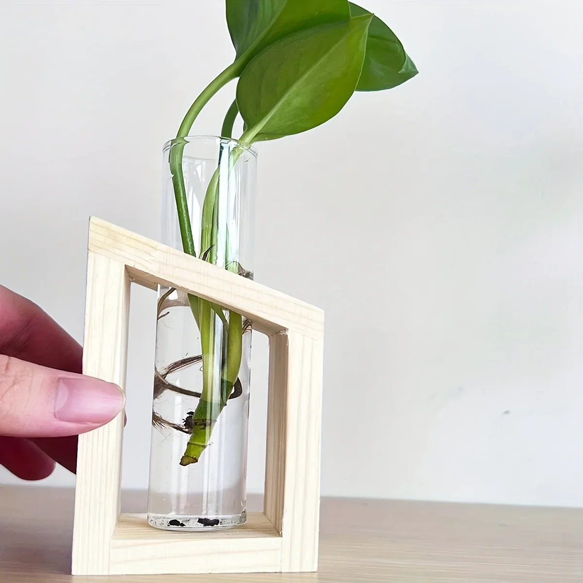 Test Tube Glass Vase Plant Pro - Propagation Station Vase recension och pris