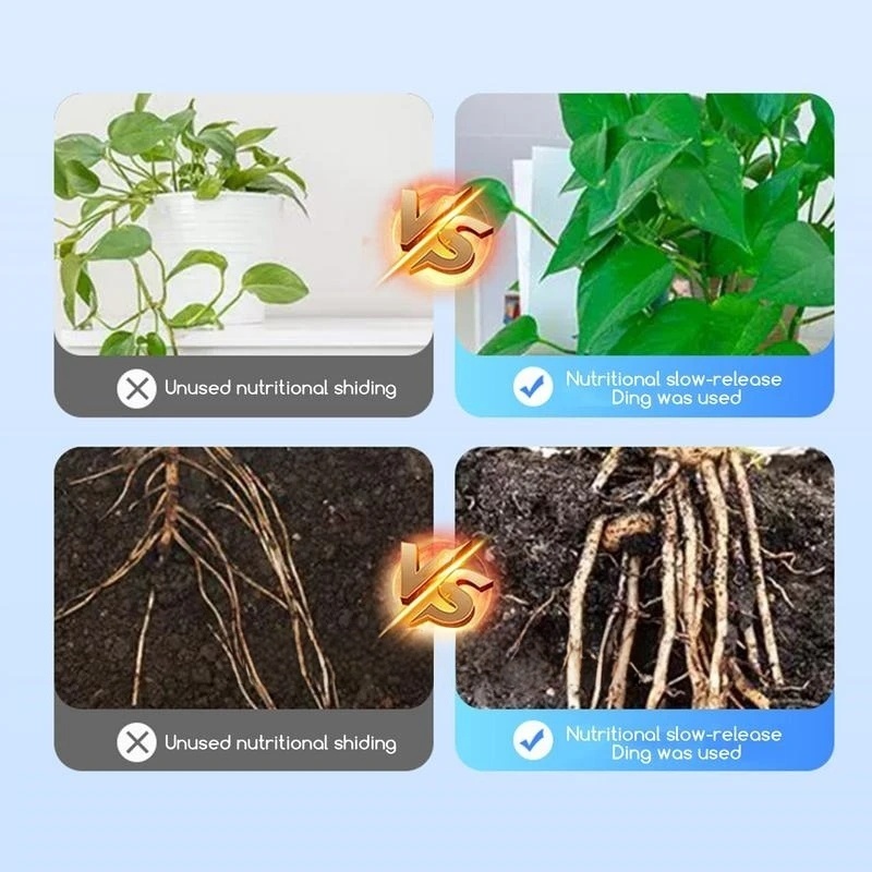 2bags Rooting Hormone Powder U - Rooting Hormone Powder recension och pris