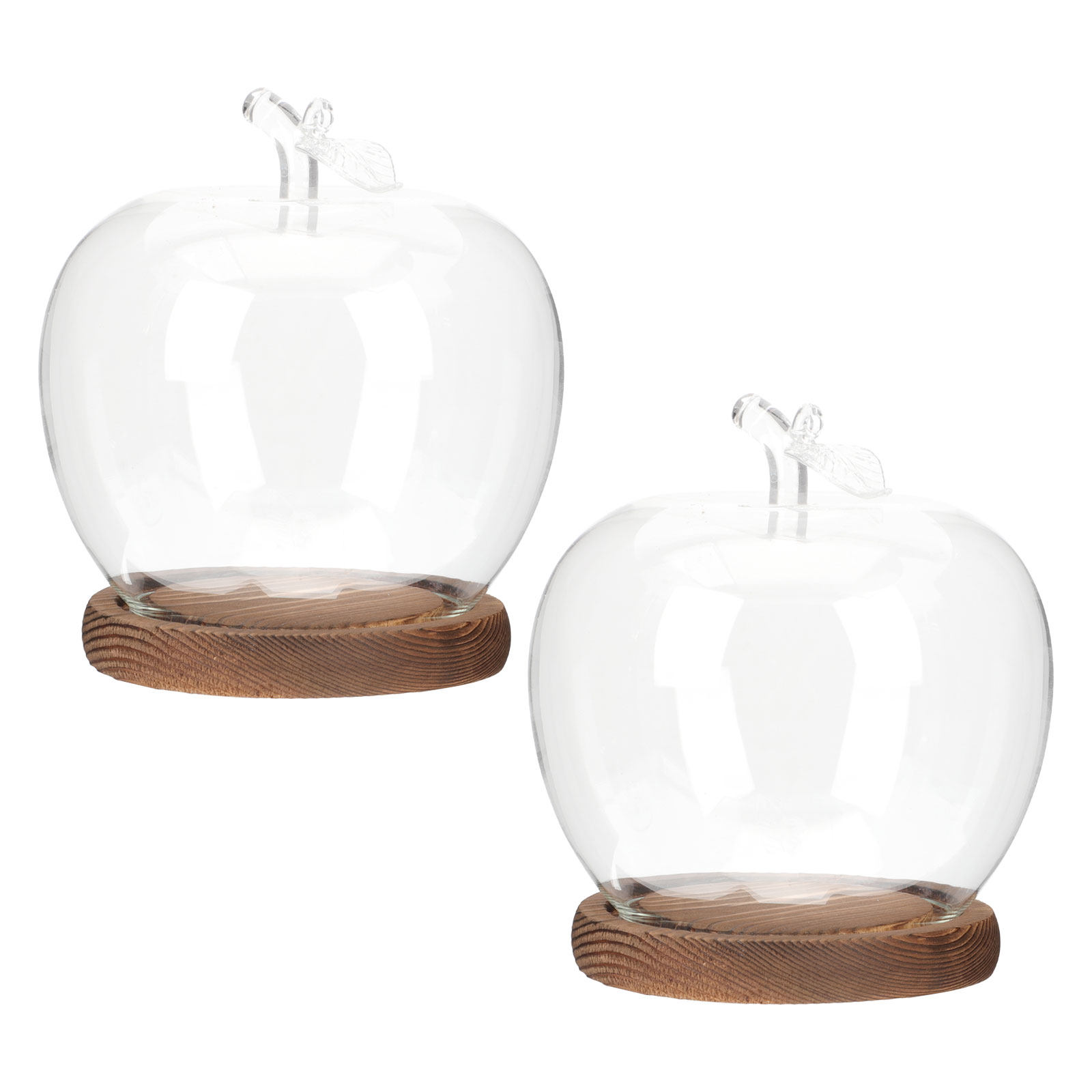 2Pcs Glass Cloche Dome with Wo - Plastic Dome Clear recension och pris