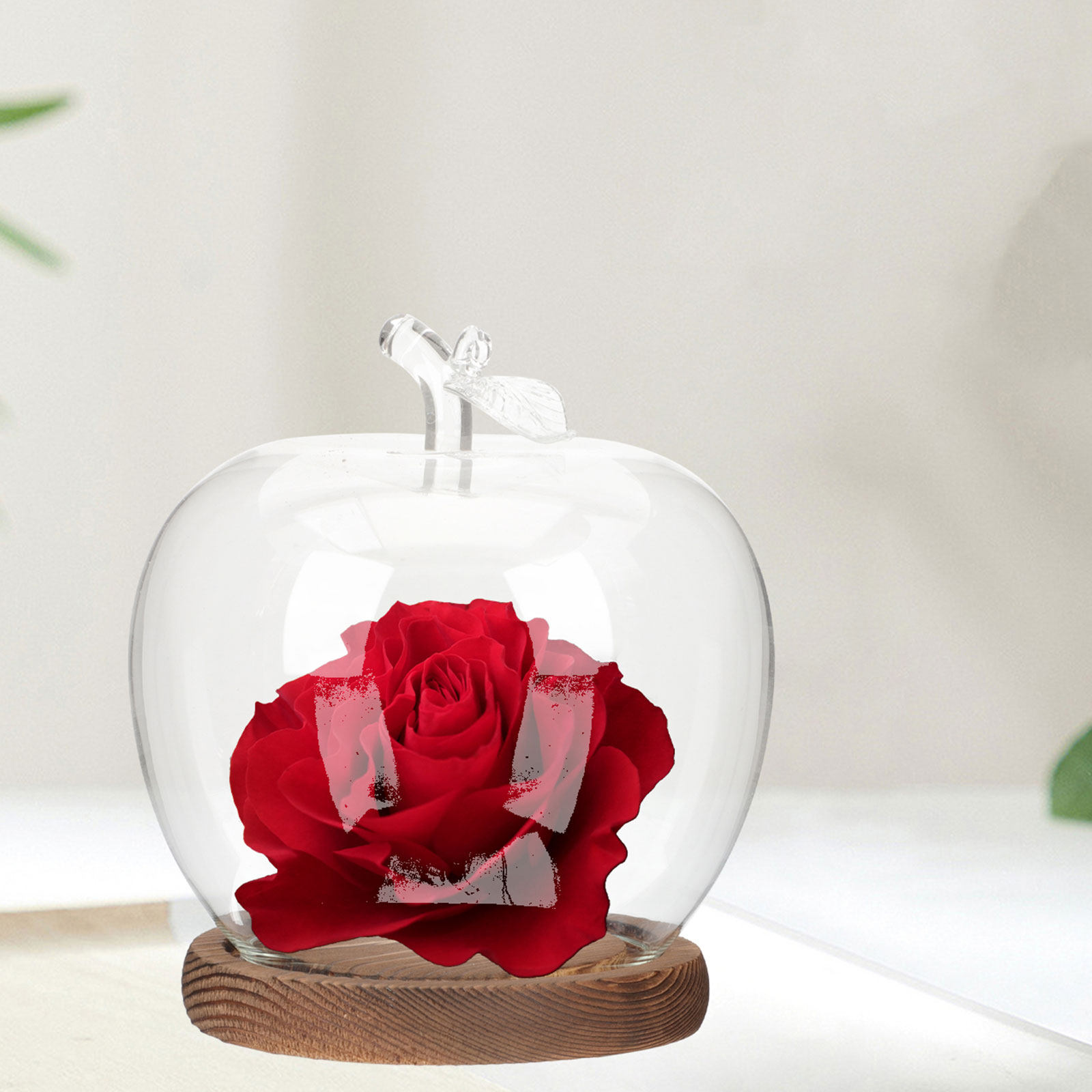 2Pcs Glass Cloche Dome with Wo - Plastic Dome Clear recension och pris